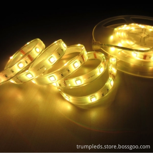 IP68B PU 24v Waterproof SMD 5050 LED Ribbon